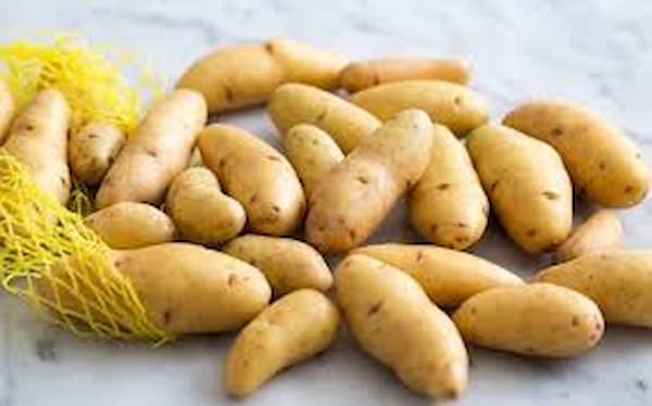 تصویر 3 از خرید سیب زمینی  انگشتی + قیمت فروش استثنایی